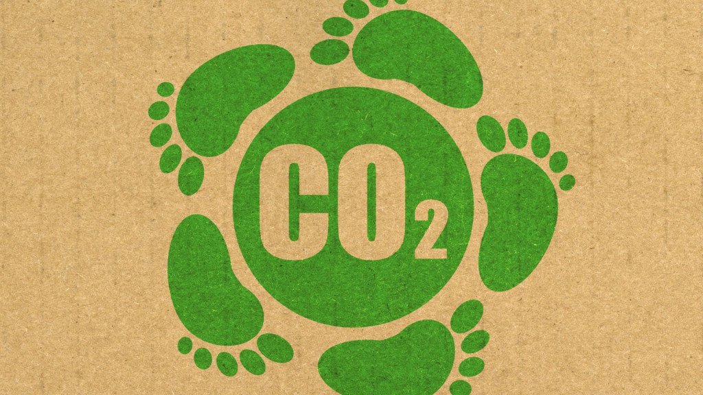 cos è l impronta ecologica